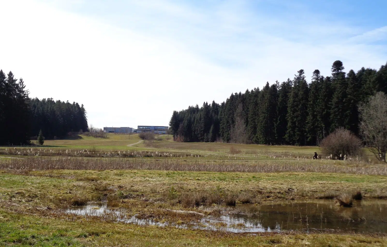 Ökologischer Ausgleich weiter auf eigener Fläche