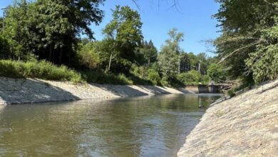 revitalisierung neckar