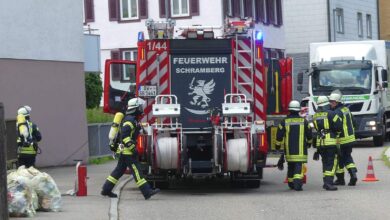 brandalalarm berneckstraße dk 010724 (4)