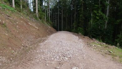 forst und radweg sulgen tal dk 020724 (1)