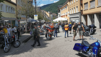 harleytreffen dk 200724 (2)