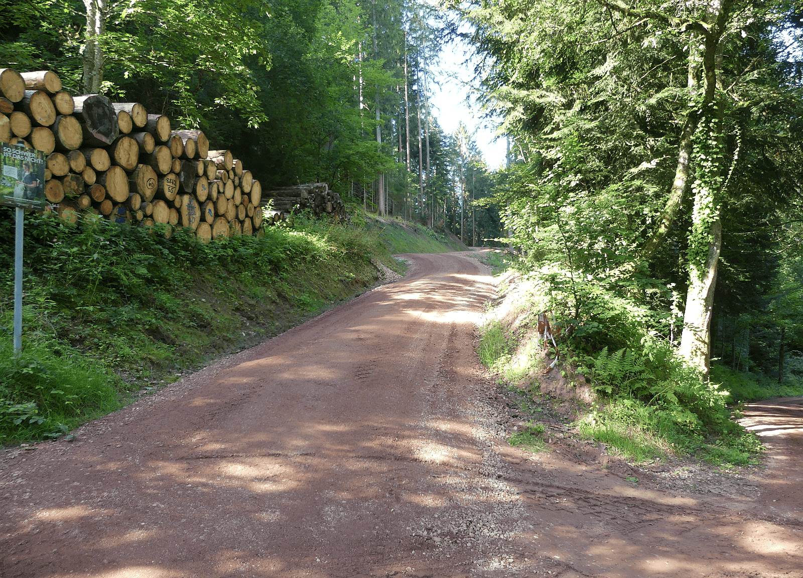 forstweg sulgen feinbelag dk 090824 (1)