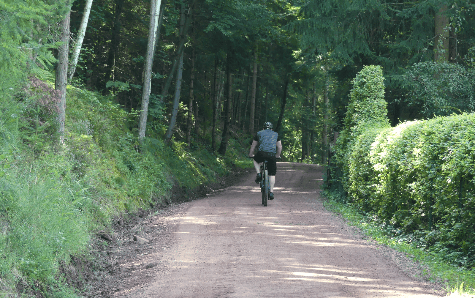 forstweg sulgen feinbelag dk 090824 (16)