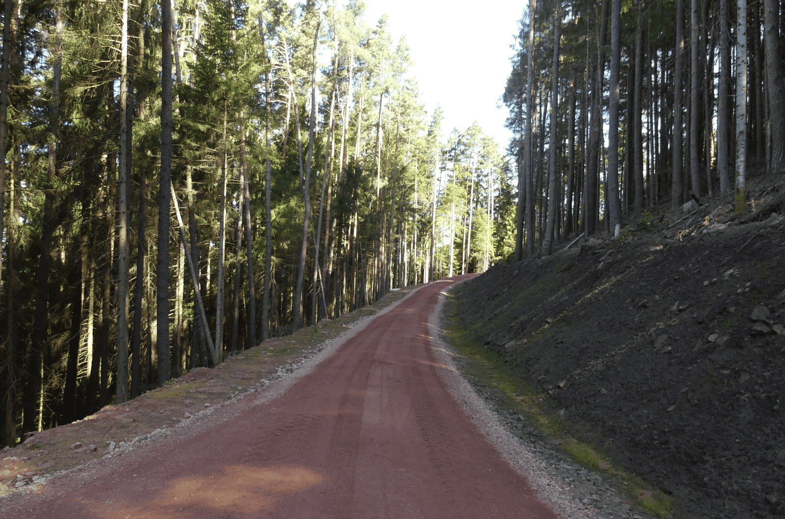 forstweg sulgen feinbelag dk 090824 (22)