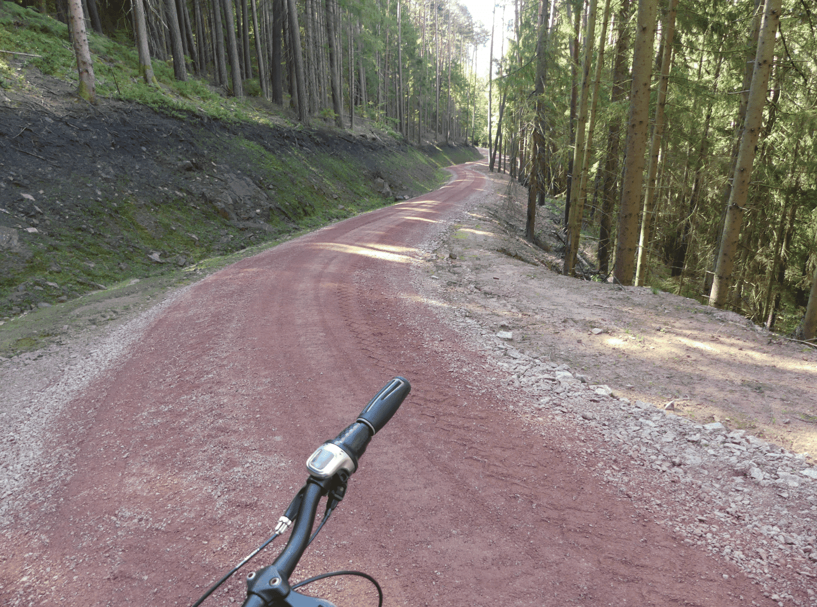 forstweg sulgen feinbelag dk 090824 (26)