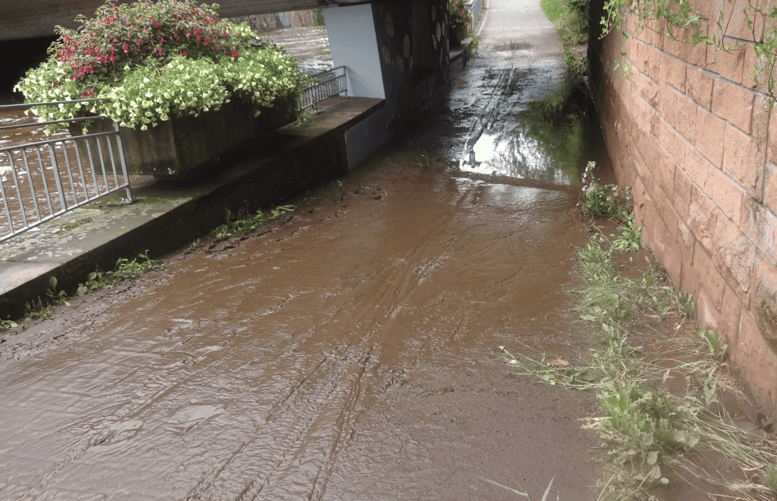 gewitter nach schiltach rem dk 130824 (40)