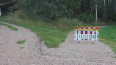 forst radweg begrünt sperre dk 100924 (2)