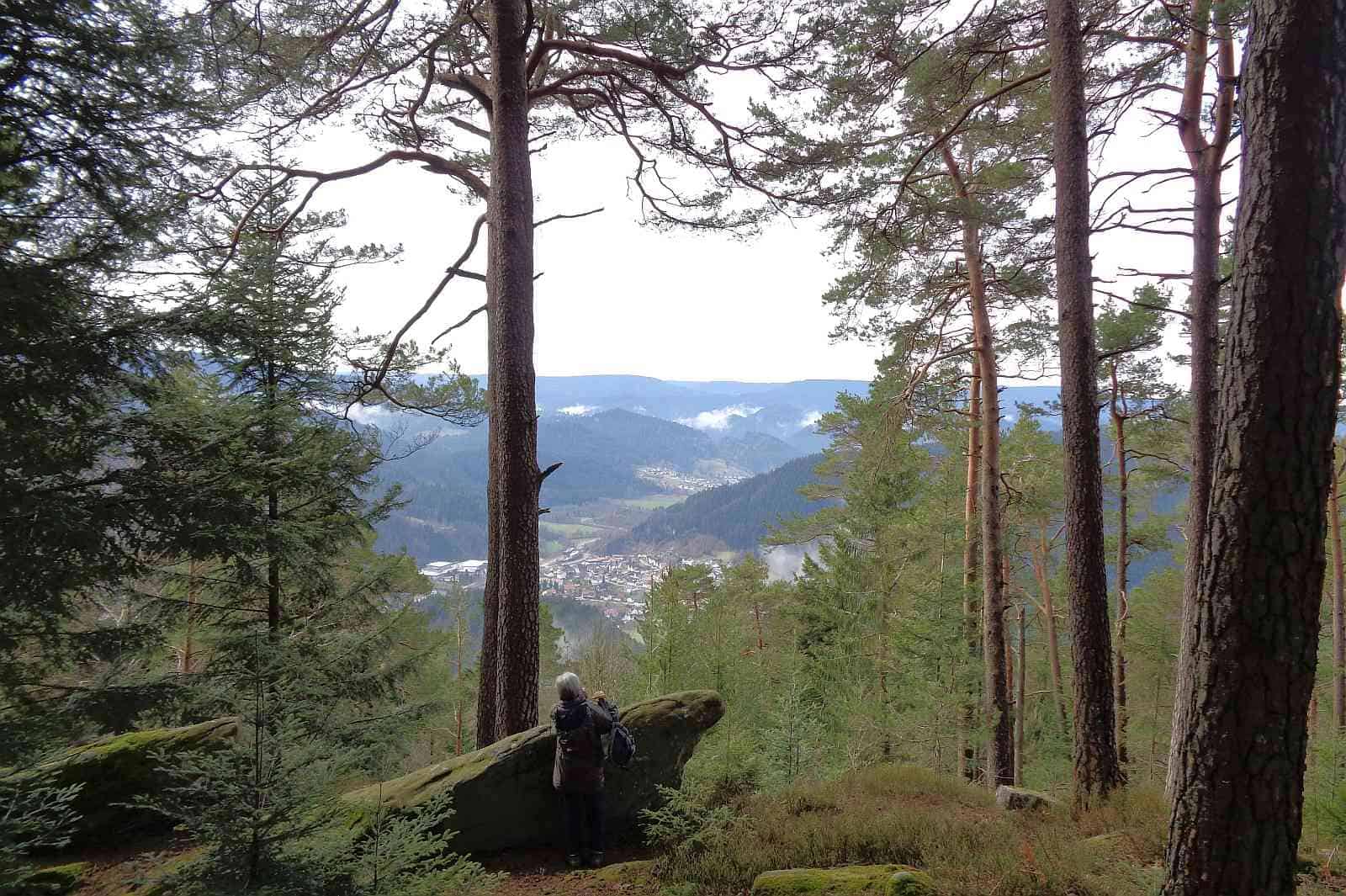 schenkenzell schiltach staufenkopf dk 020418 (3)